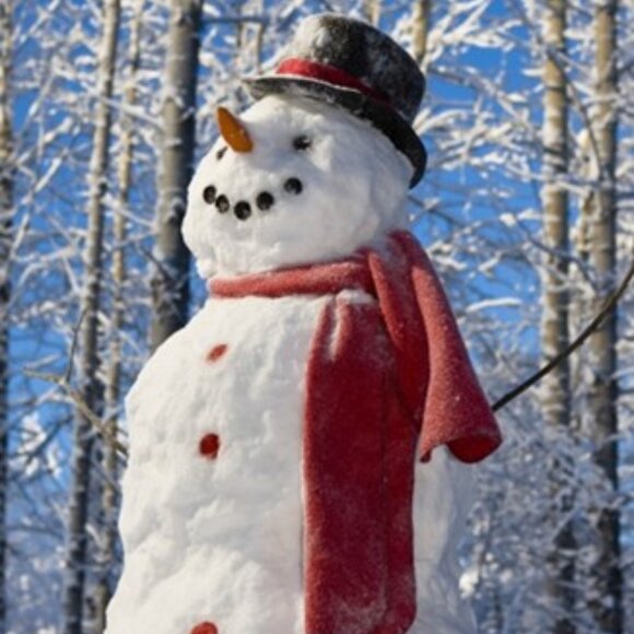 Let's build a snowman! Family live up north? Grandkids? - Picture 1 of 3